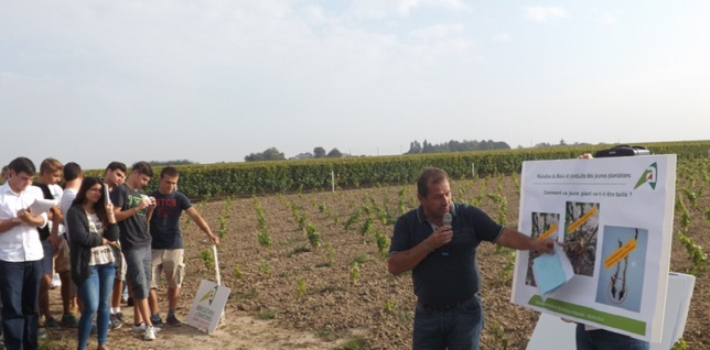 Loir-et-Cher : colloque viti-oeno le 2 septembre Loir-et-Cher : colloque viti-oeno le 2 septembre