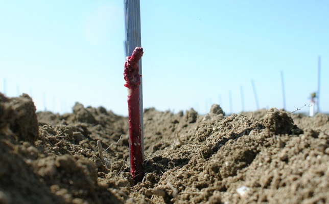 558 ha de plantations nouvelles demandés pour 2017-2018 558 ha de plantations nouvelles demandés pour 2017-2018