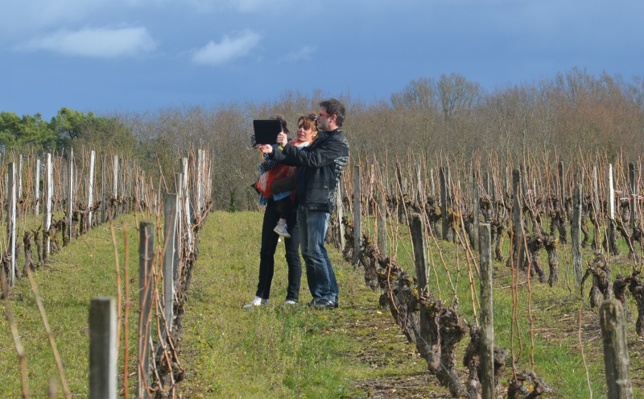Oenoloire, une appli pour découvrir le vignoble Oenoloire, une appli pour découvrir le vignoble