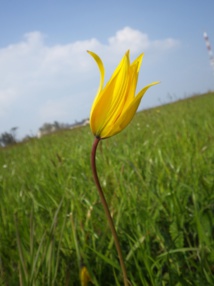 Photo : CPIE Photo : CPIE