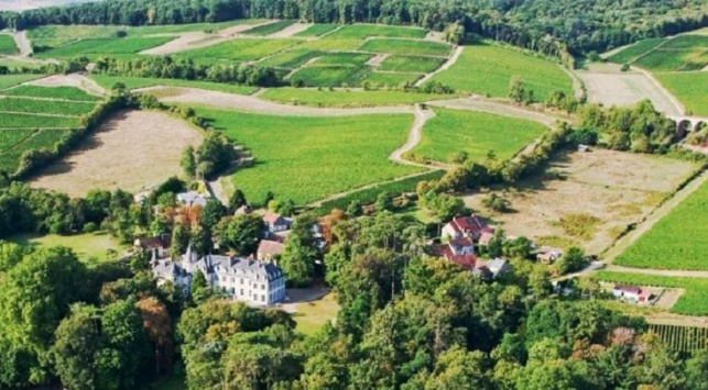Langlois-Chateau reprend le château de Thauvenay
