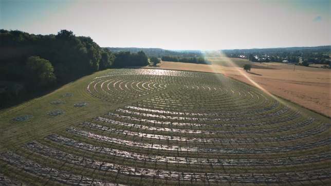 Ils associent ceps et truffes Ils associent ceps et truffes