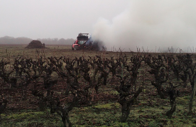 Cette photo, transmise par l'Hebdo de Sèvre et Maine, a été prise par un témoin de l'arrachage des  vignes le 23 décembre à Monnières.