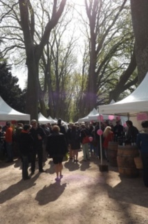 Oenotourisme : un vaste projet à Chinon Oenotourisme : un vaste projet à Chinon