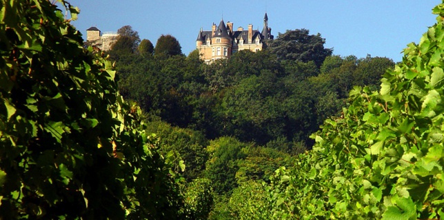 Le Château de Sancerre compte 55 ha. Photo DR