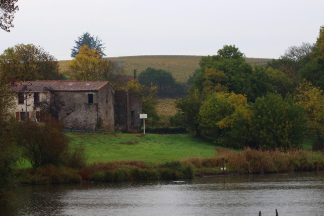 Le contrat territorial doit permettre d'améliorer la qualité des cours d'eau et rivières, comme ici La Goulaine.