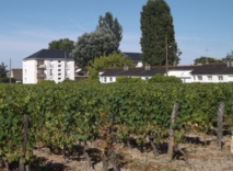 Comment cohabiter en toute harmonie ? Comment cohabiter en toute harmonie ?