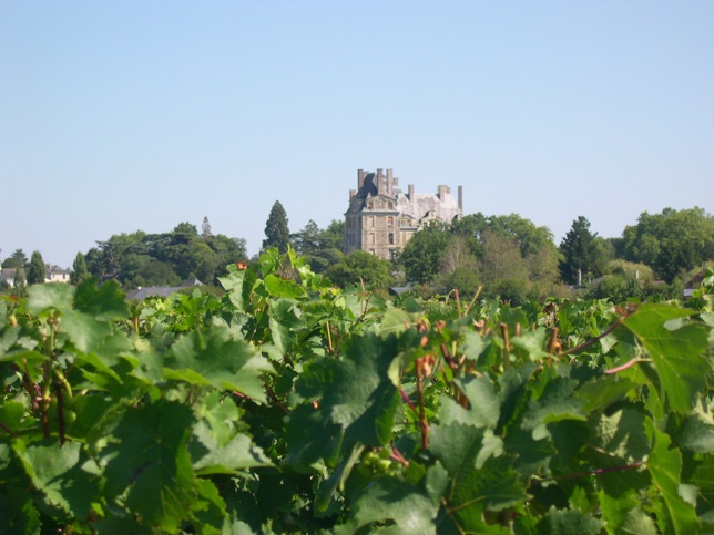 Anjou-Brissac ? Une vieille histoire