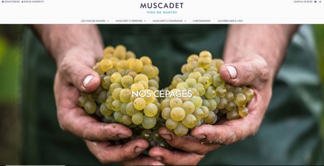 Les Vins de Nantes ont leur site web Les Vins de Nantes ont leur site web