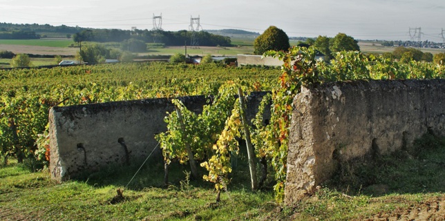 1,3 M€ investis au Clos Cristal 1,3 M€ investis au Clos Cristal