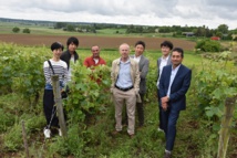 Dirigeants et salariés du groupe japonais dans les vignes de Coutures Dirigeants et salariés du groupe japonais dans les vignes de Coutures