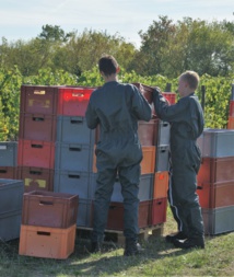 80 étudiants en BTSA à Montreuil-Bellay 80 étudiants en BTSA à Montreuil-Bellay