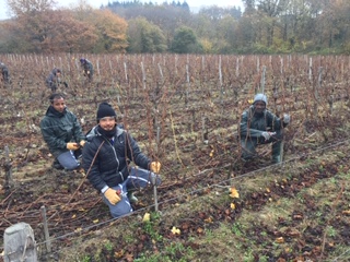 Une nouvelle vie, en France et dans les vignes