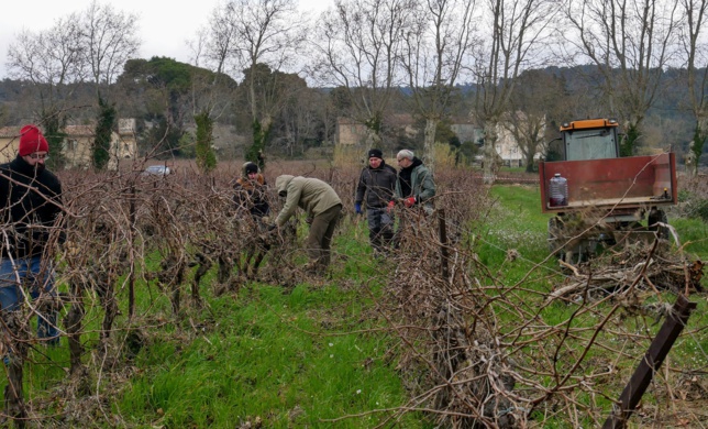 Des vignerons tourangeaux solidaires de l'Aude Des vignerons tourangeaux solidaires de l'Aude