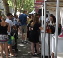 Tours de vignes ce week-end ?  Tours de vignes ce week-end ?