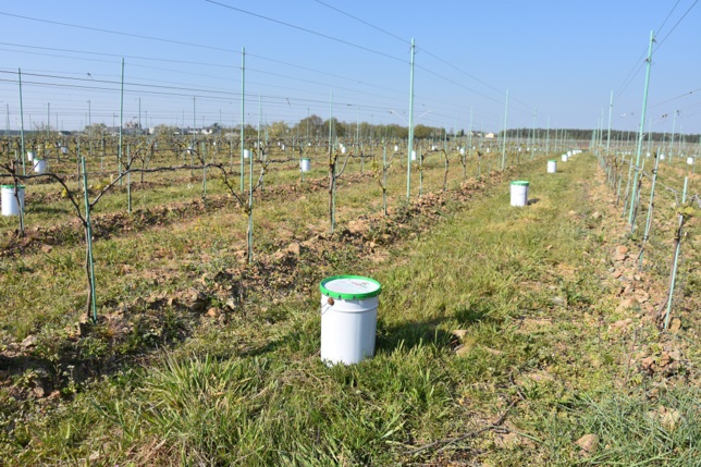 Les bougies sont en place. Les bougies sont en place.