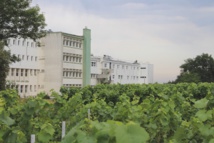 A Briacé, la filière viticole peine à recruter A Briacé, la filière viticole peine à recruter