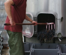 Des centaines d’emplois à pourvoir en viticulture