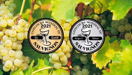 Mondial du sauvignon : 41 médailles pour l’AOC Touraine Mondial du sauvignon : 41 médailles pour l’AOC Touraine