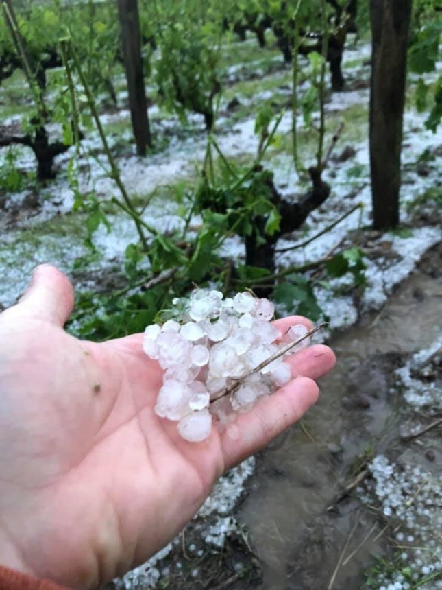 Photo Eric Gaucher (Twitter) Photo Eric Gaucher (Twitter)