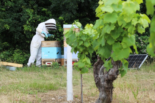 La maintenance des ruches connectées est assurée tous les 15 jours par Bee Futures.