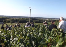 Visites de vignes en Touraine : demandez le programme Visites de vignes en Touraine : demandez le programme