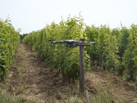 Diagnostic : un drone pour scanner les parcelles