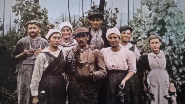 Une histoire vigneronne sur France 3 Une histoire vigneronne sur France 3