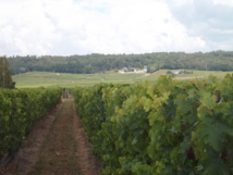 Reprise : des candidats attirés par l’environnement, l’aventure humaine et la réussite Reprise : des candidats attirés par l’environnement, l’aventure humaine et la réussite