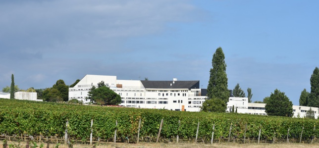 Les effectifs viticoles en hausse au lycée Edgard-Pisani