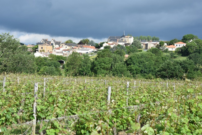 Moins d’exploitations en Val de Loire en 10 ans 