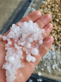 Photo Vincent Rouleau. Photo Vincent Rouleau.