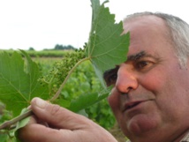 Crédit : Domaine de l'Ecu (Facebook). Crédit : Domaine de l'Ecu (Facebook).