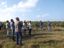 Visites de vignes réunions pré-vendanges 2023 : le programme