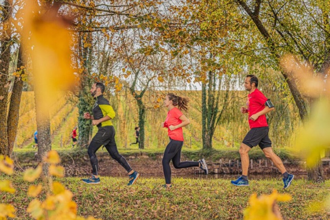 Le vignoble angevin de jour comme de nuit Le vignoble angevin de jour comme de nuit