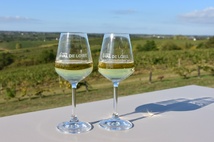 Célébrons le chenin en Loire ! Célébrons le chenin en Loire !