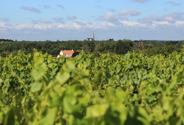 La consultation publique est prévue du 25 août au 25 octobre. La consultation publique est prévue du 25 août au 25 octobre.