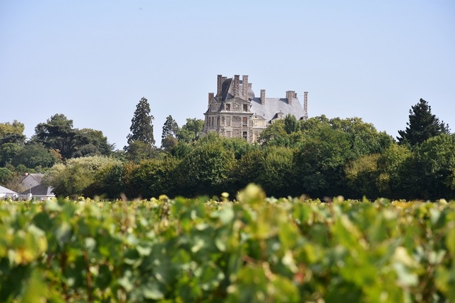 Anjou-Brissac, enfin officiel ! Anjou-Brissac, enfin officiel !