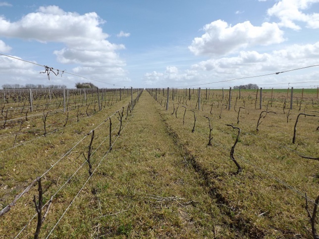 Cap sur l’AOC Vendôme