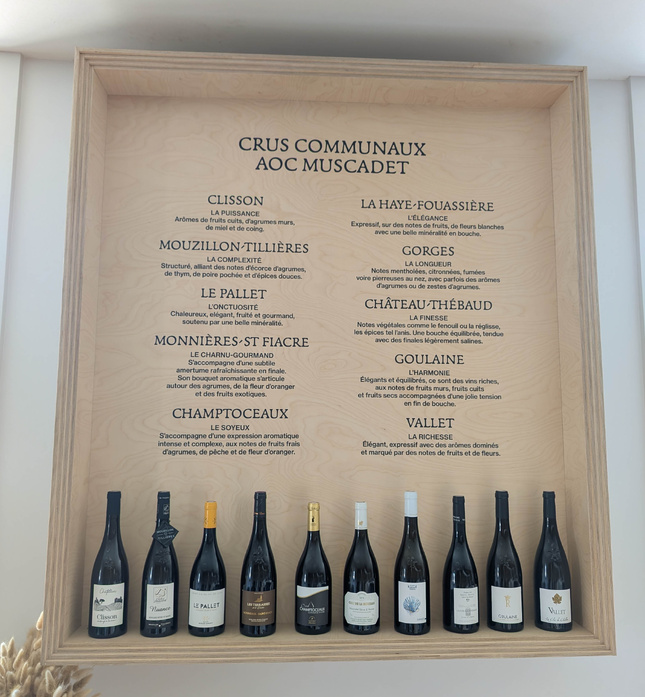 Les supports de communication de la Fédération utilisant la mention « cru » seront mis à jour avec le terme « communale ».