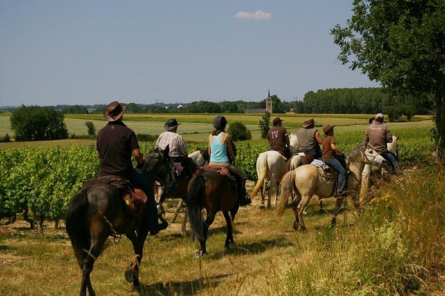 7 000 amoureux du Layon attendus à la Translayon 7 000 amoureux du Layon attendus à la Translayon