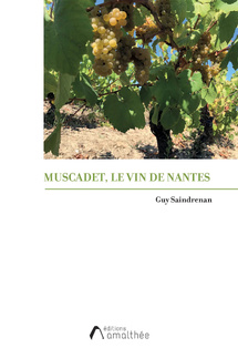 Guy Saindrenan plonge dans l’histoire du Muscadet