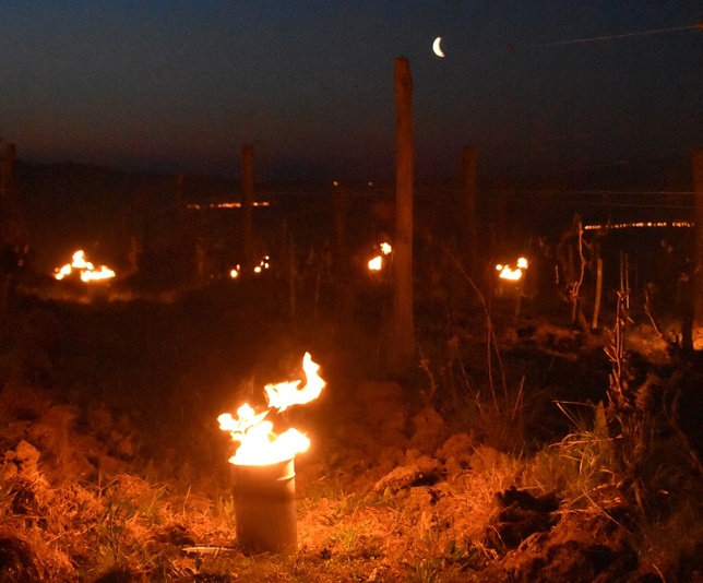De nombreuses bougies ont été allumées dans toute la Loire.