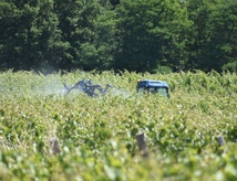 Première victoire pour le cuivre Première victoire pour le cuivre