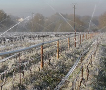 L’aspersion n’est pas de l’irrigation L’aspersion n’est pas de l’irrigation