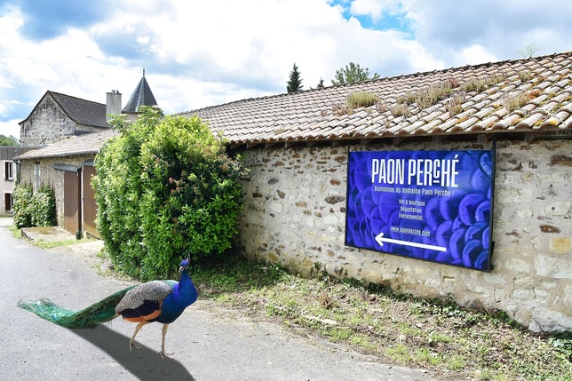 Le nom du domaine était lié à la présence d'un paon sur l'exploitation.