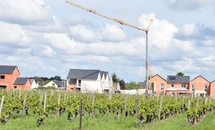 Le Conseil constitutionnel renvoie les ZNT aux agriculteurs