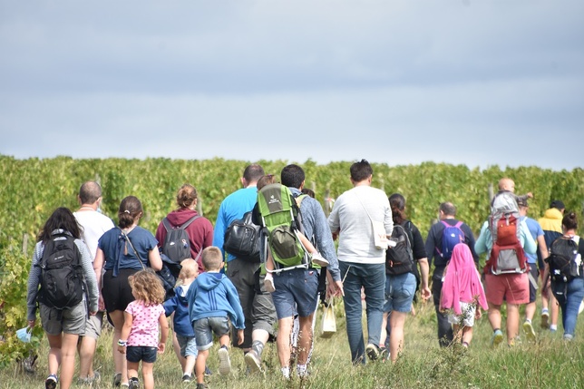 Vignes Vins Randos, le retour Vignes Vins Randos, le retour