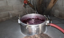 L'acide tartrique permet aussi de soutenir la fermentation L'acide tartrique permet aussi de soutenir la fermentation