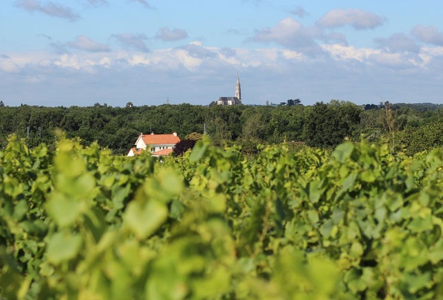 Les PNO sont lancées pour les trois futures Dénominations Géographiques Complémentaires du Muscadet.
